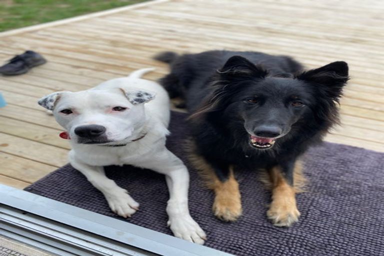 Photo of property in 18 Gilbransen Road, Kumeu, 0810