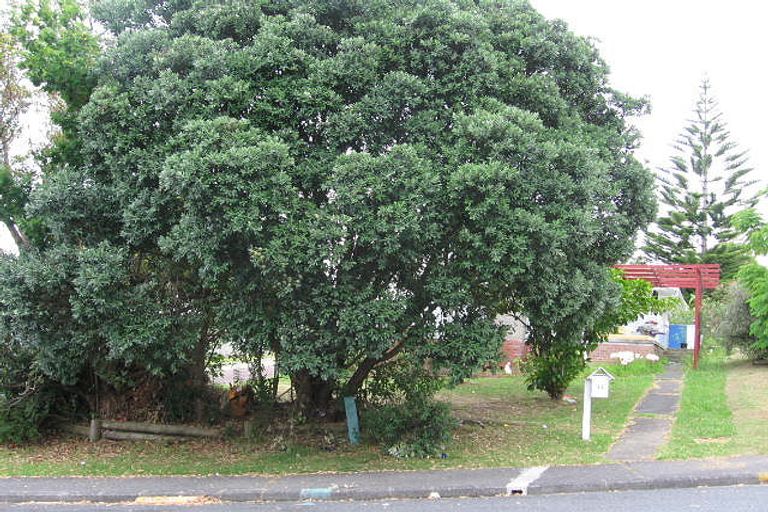 Photo of property in 13 Aplin Place, Birkdale, Auckland, 0626