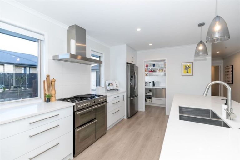 Photo of property in 10 Audrey Place, Flagstaff, Hamilton, 3210