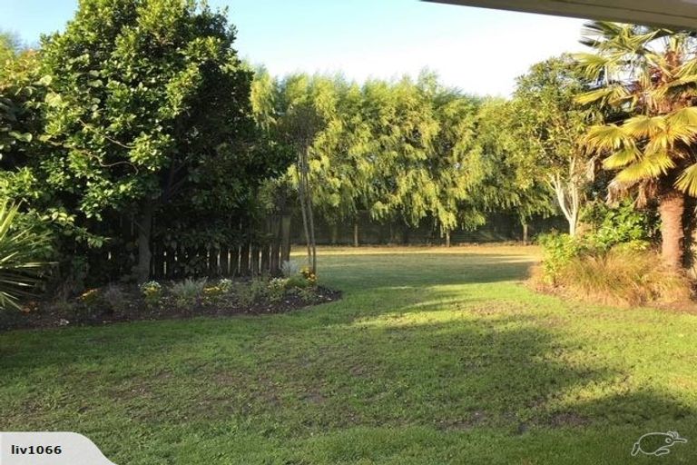 Photo of property in 38 Fearon Street, Motueka, 7120