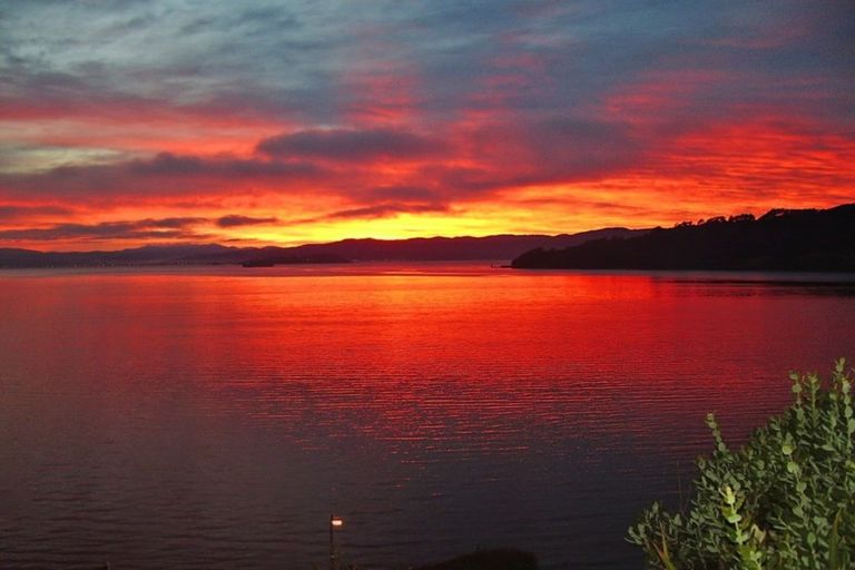 Photo of property in 76 Evans Bay Parade, Roseneath, Wellington, 6021