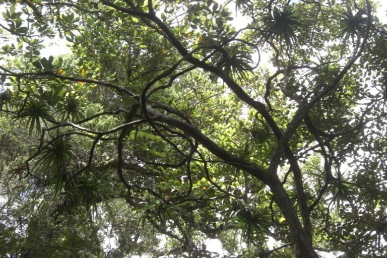 Photo of property in 85b Shakespeare Street, Greymouth, 7805