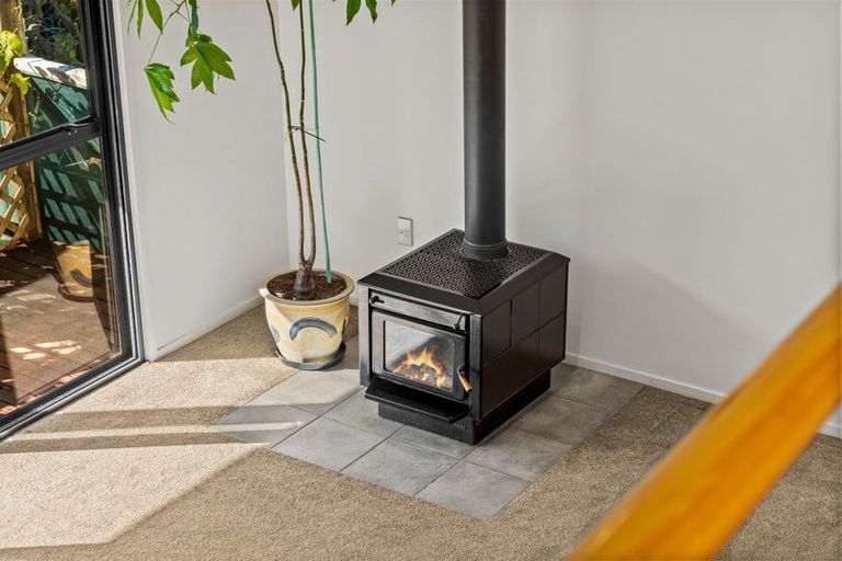 Photo of property in 811 East Coast Road, Northcross, Auckland, 0630
