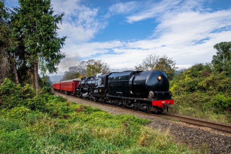 Photo of property in 191 Koputaroa Road, Koputaroa, Levin, 5575