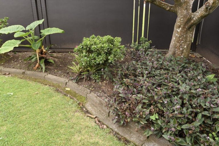 Photo of property in 14 Levers Road, Matua, Tauranga, 3110