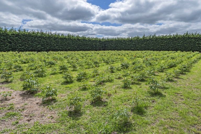 Photo of property in 2924 North Rakaia Road, Bankside, Rakaia, 7783