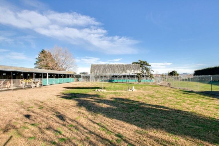 Photo of property in 41 Gavin Black Street, Meeanee, Napier, 4112