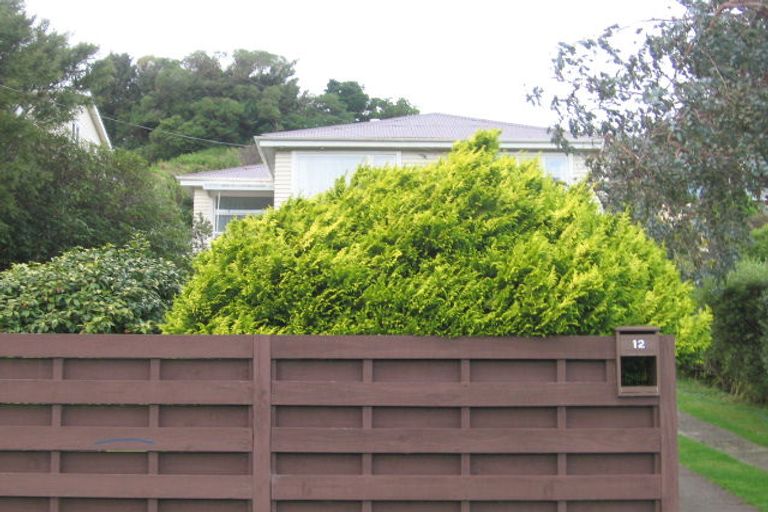 Photo of property in 12 Hinau Street, Tawa, Wellington, 5028