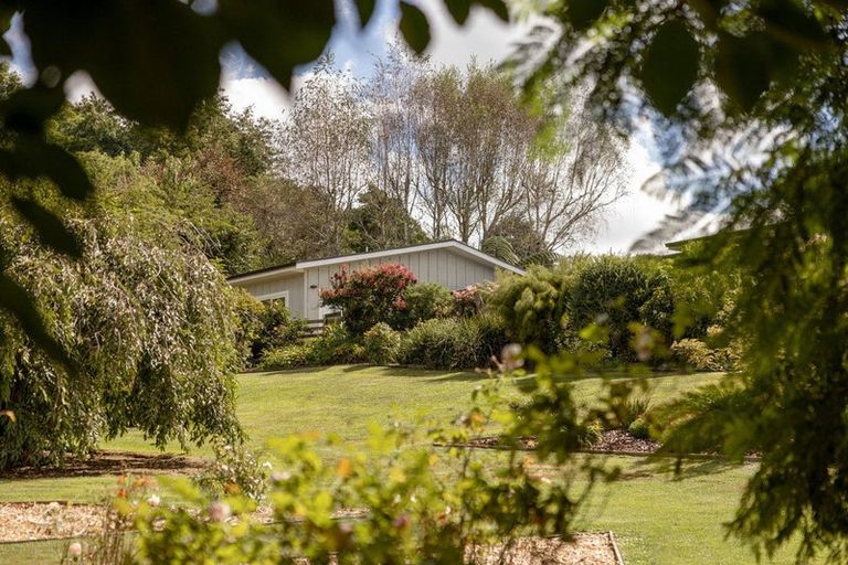Photo of property in 85 Plummer Road, Whakamarama, Tauranga, 3179