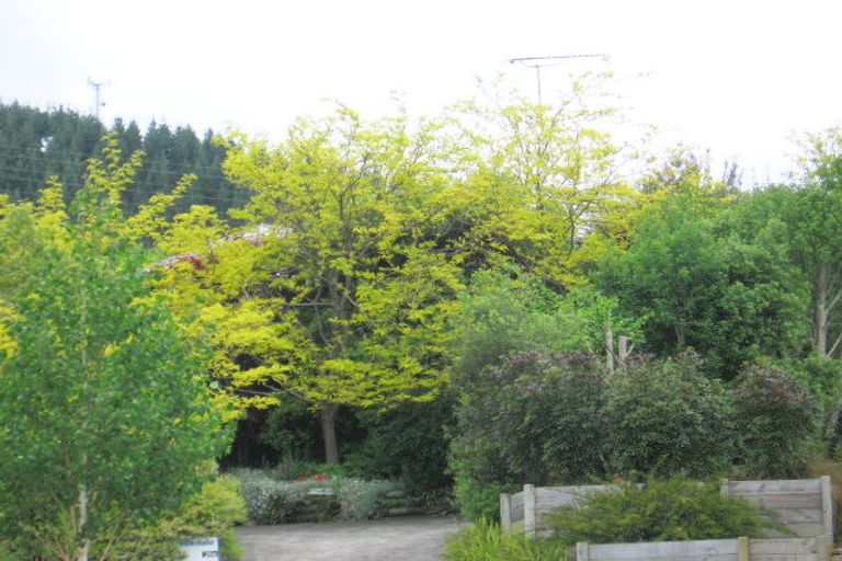 Photo of property in 37 Keepa Avenue, Paeroa, 3600