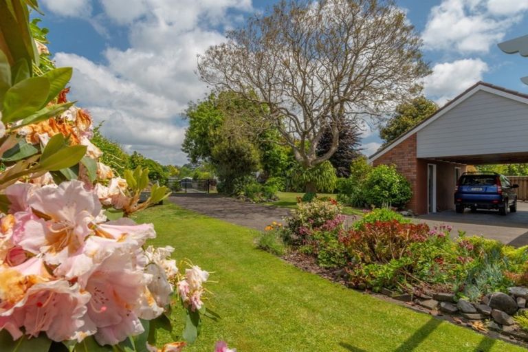 Photo of property in 58 Links View Drive, Omokoroa, 3114