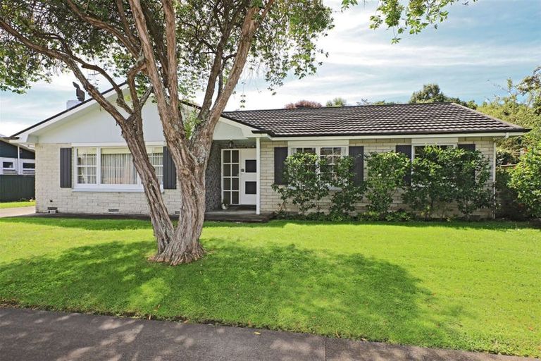 Photo of property in 3 Shortland Place, Havelock North, 4130