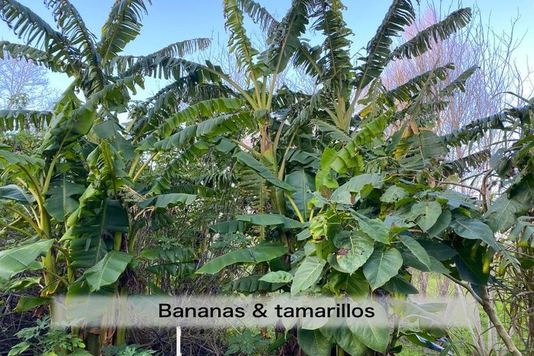 Photo of property in 4 Te Pahi River Drive, Paparoa, Maungaturoto, 0583