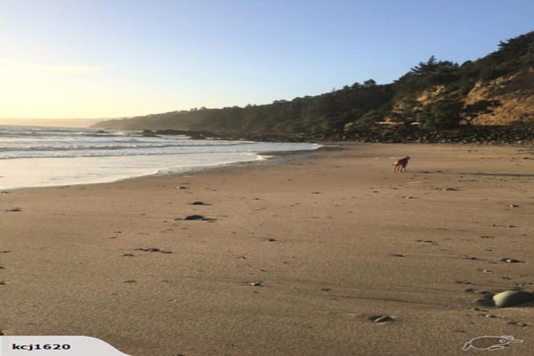 Photo of property in 686 Thames Coast Sh25 Road, Ruamahunga, Thames, 3575