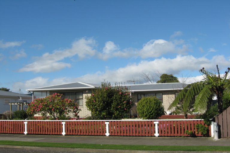 Photo of property in 19 Balmoral Street, Levin, 5510