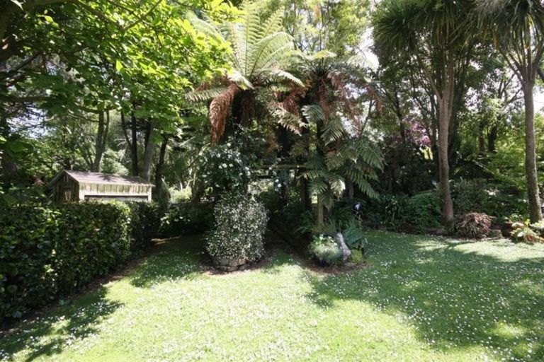 Photo of property in 20 Rifle Range Road, Waihi, 3682