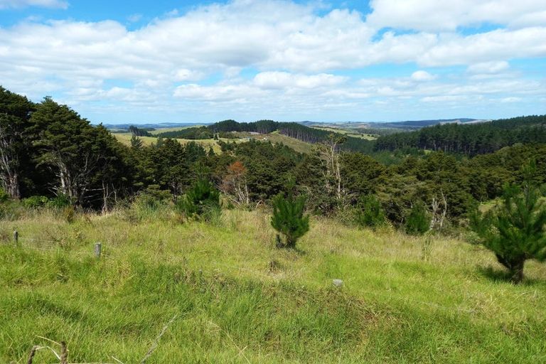 Photo of property in 24 Kamea Place, Maungaturoto, 0587