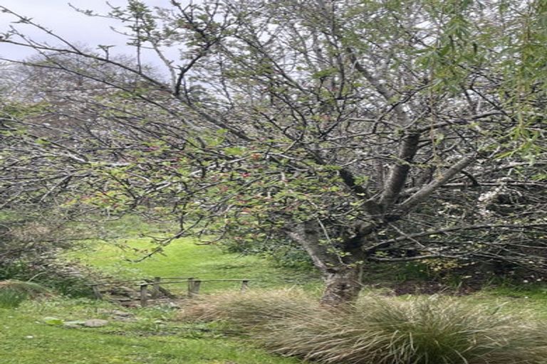 Photo of property in 162 Gladstone Road North, Mosgiel, 9024