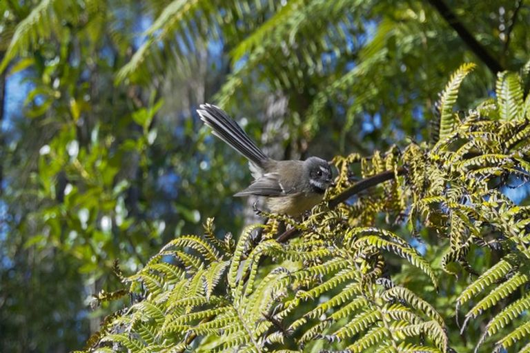 Photo of property in 207 Kokako Heights, Matata, 3194