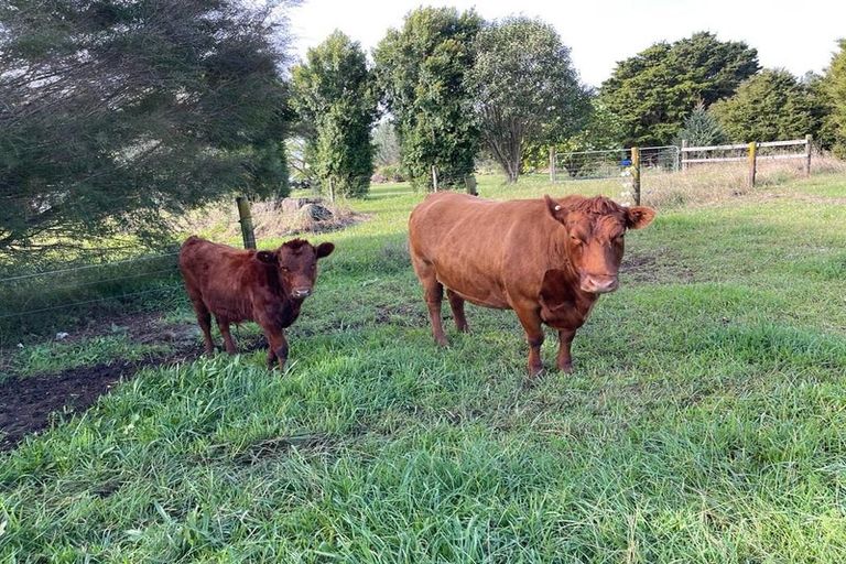 Photo of property in 75 Morris Lane, Kerikeri, 0294