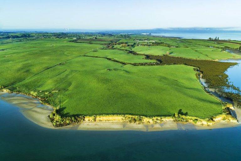 Photo of property in 102 Aulyn Drive, Karaka, Papakura, 2580