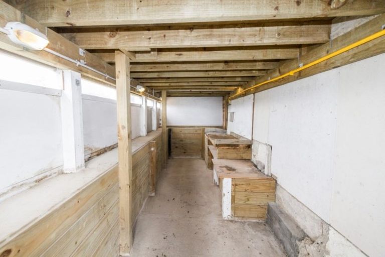 Photo of property in 71 Matatiro Street, Titahi Bay, Porirua, 5022