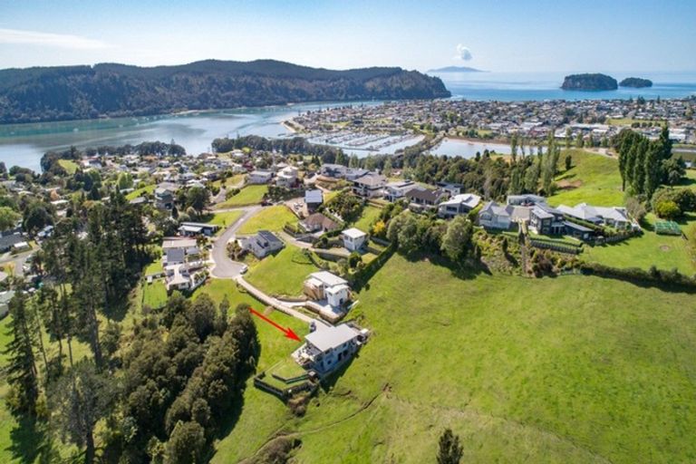 Photo of property in 113 Elsinore Close, Whangamata, 3620