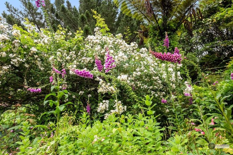 Photo of property in 6 Puriri Street, Wainuiomata, Lower Hutt, 5014