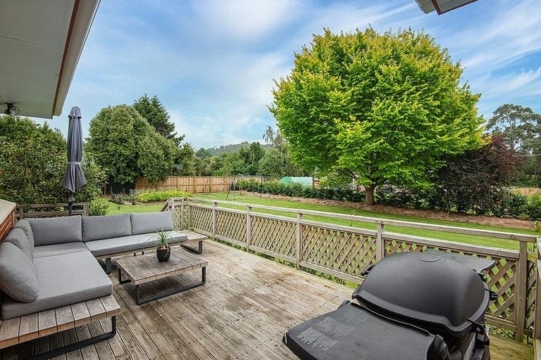 Photo of property in 22 Brown Street, Dunedin Central, Dunedin, 9016