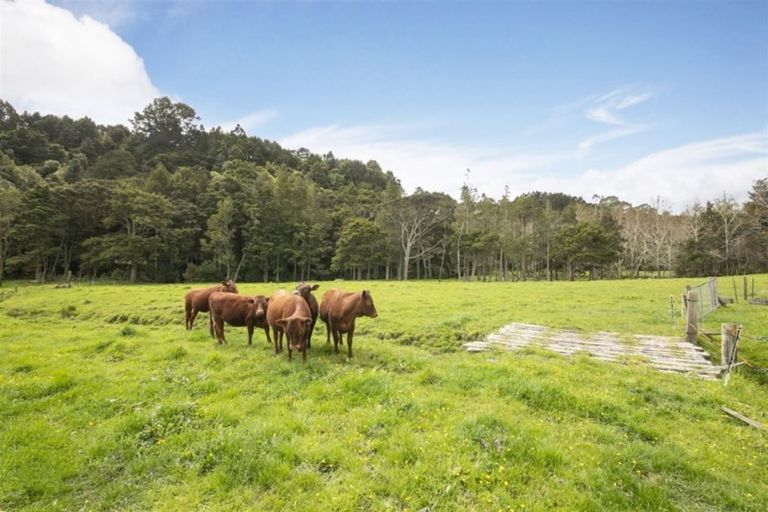 Photo of property in 16 Stevens Lane, Waitoki, Kaukapakapa, 0871