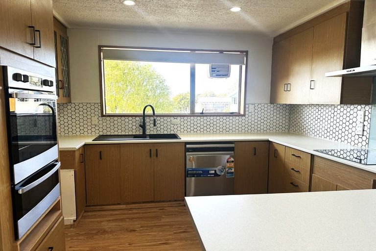 Photo of property in 44 Hopkins Street, Gleniti, Timaru, 7910