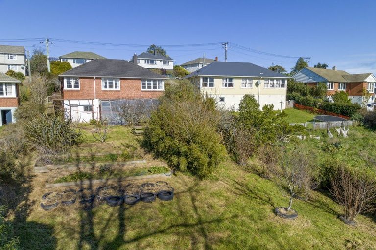 Photo of property in 14 Panmure Avenue, Calton Hill, Dunedin, 9012