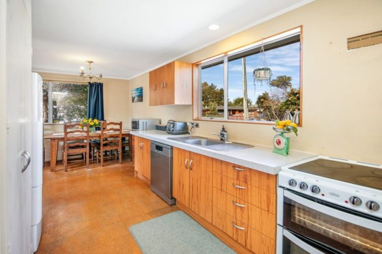 Photo of property in 43 Ferry Road, Spring Creek, 7202