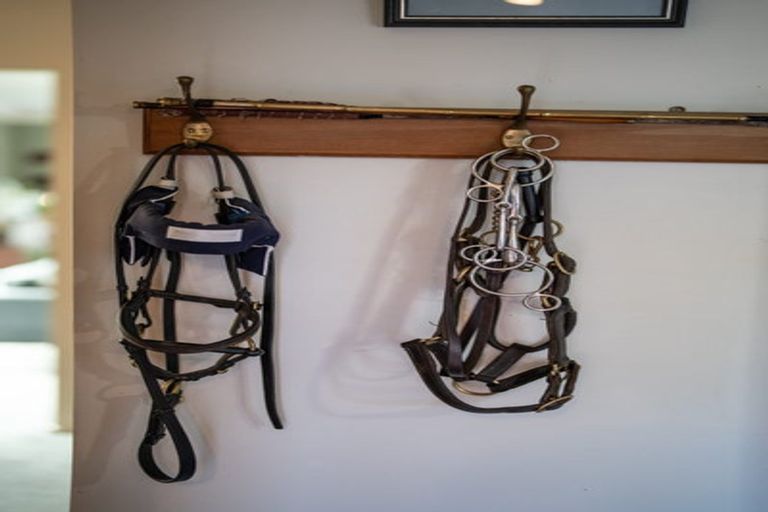 Photo of property in 77b Oaklea Lane, Tamahere, Hamilton, 3283