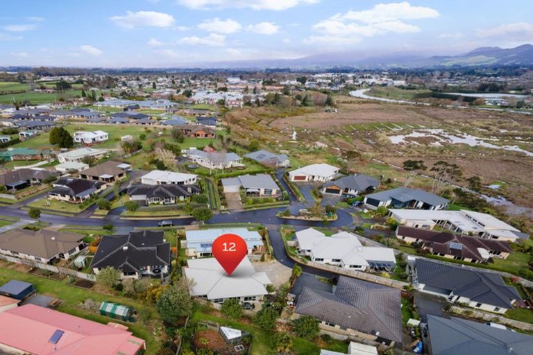 Photo of property in 12 Riverside Place, Katikati, 3129