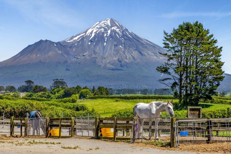 Photo of property in 1 Waingongoro Road, Cardiff, Stratford, 4391
