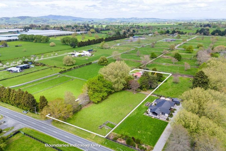 Photo of property in 1212 Kaipaki Road, Cambridge, 3495