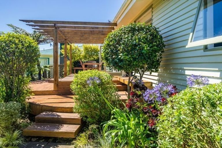 Photo of property in 21 Bedford Street, Northland, Wellington, 6012