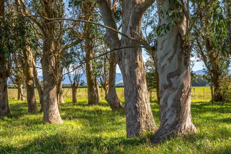 Photo of property in 357a Kahutara Road, Kahutara, 5771