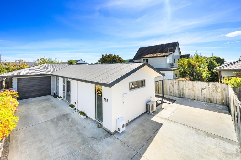 Photo of property in 65b Albert Street, Palmerston North, 4414
