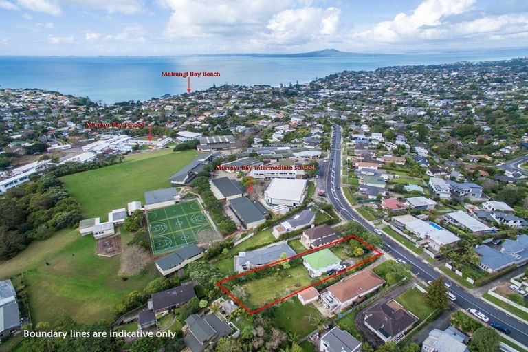 Photo of property in 55 Sunrise Avenue, Murrays Bay, Auckland, 0630