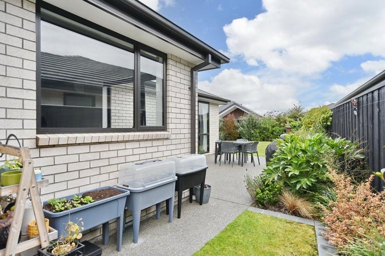 Photo of property in 8 Jasmine Street, Woodend, 7610