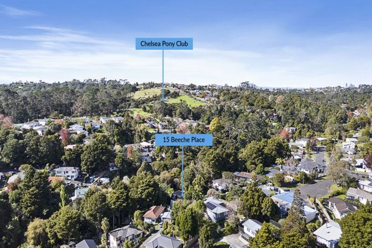 Photo of property in 15 Beeche Place, Birkdale, Auckland, 0626