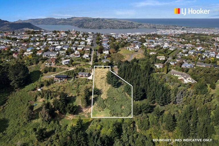 Photo of property in 12 Nursery Lane, Belleknowes, Dunedin, 9011