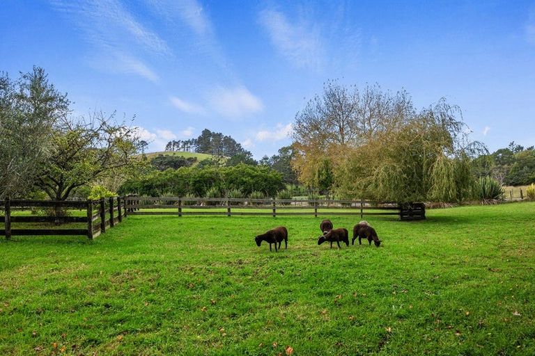 Photo of property in 248 Blackbridge Road, Dairy Flat, Albany, 0794