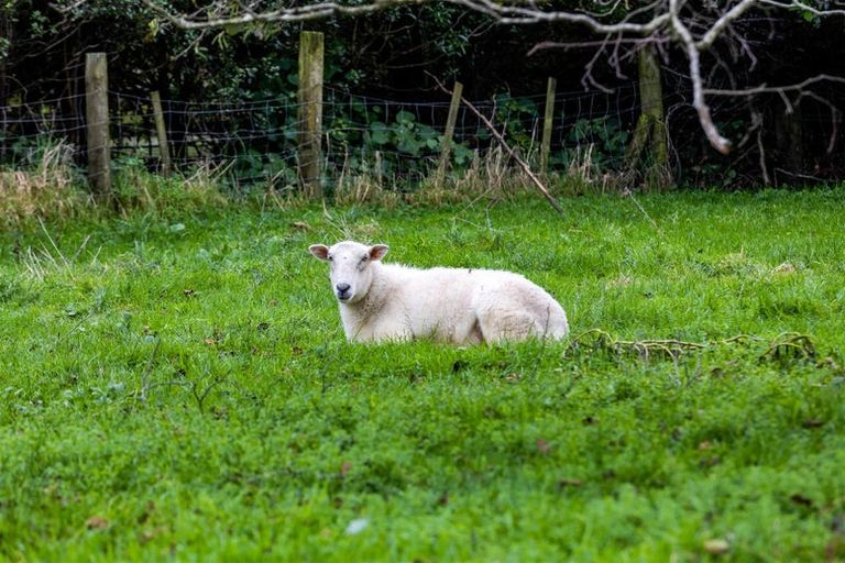 Photo of property in 361 Corbett Road, Paraite, New Plymouth, 4373