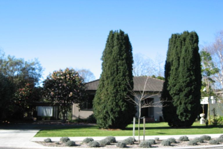 Photo of property in 3 Lindsay Street, Havelock North, 4130