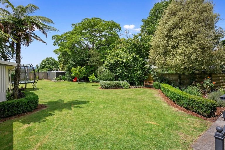 Photo of property in 39 Elizabeth Street, Matamata, 3400
