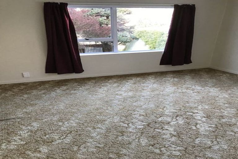 Photo of property in 42 Sydney Street, Caversham, Dunedin, 9011