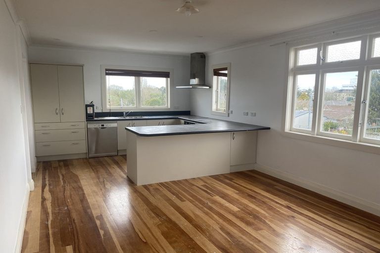 Photo of property in 113 Pembroke Street, Hamilton Lake, Hamilton, 3204